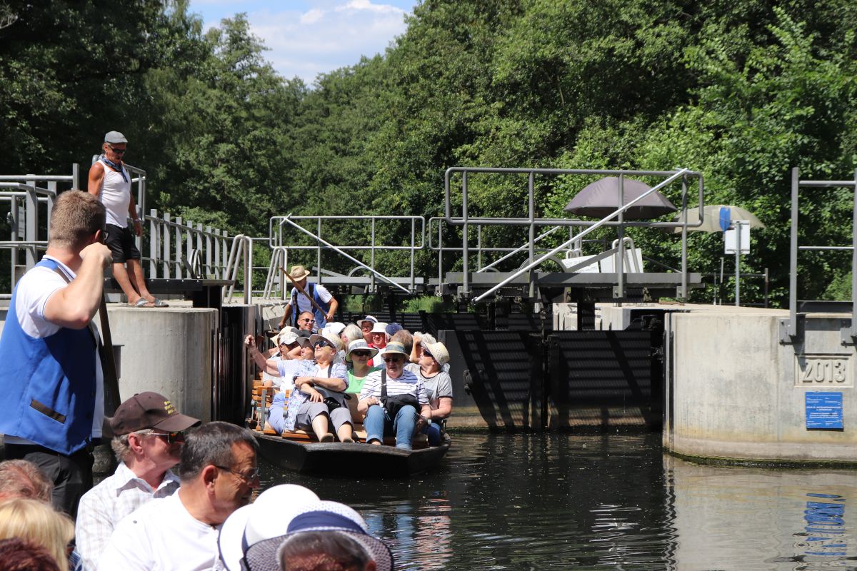 Spreewald 2019