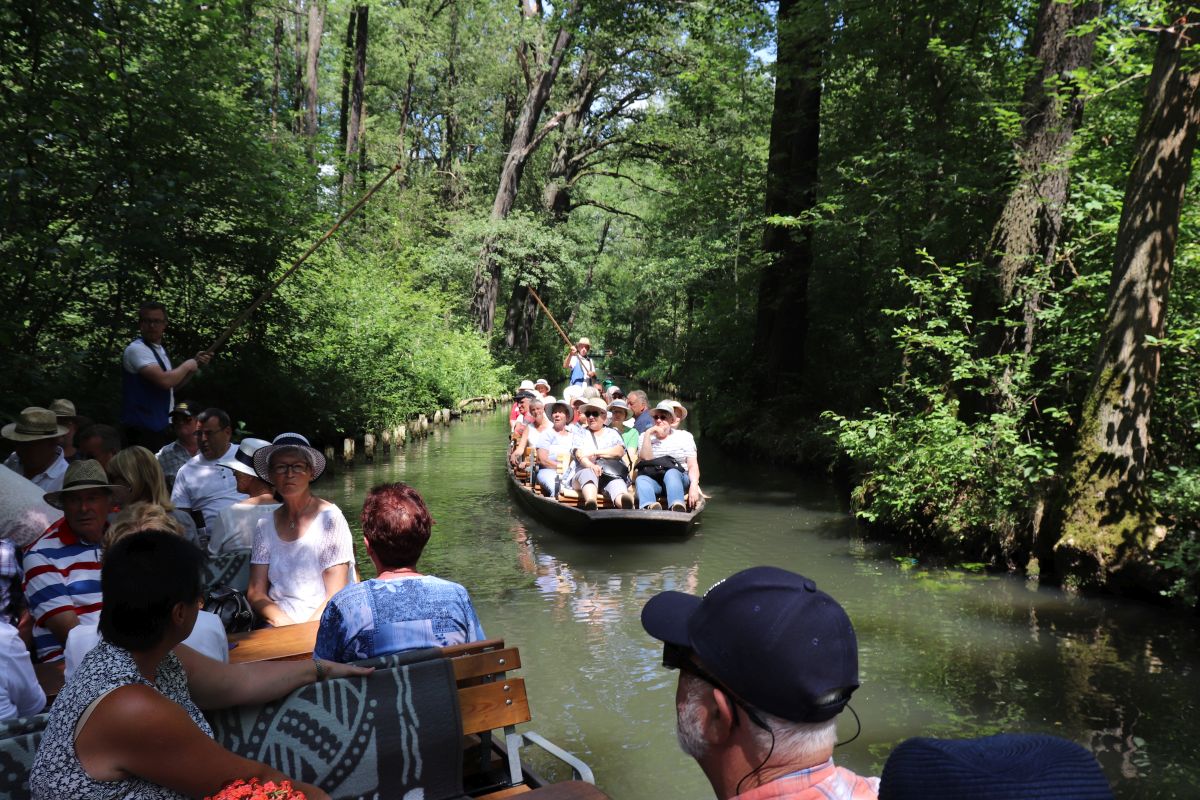 Spreewald 2019