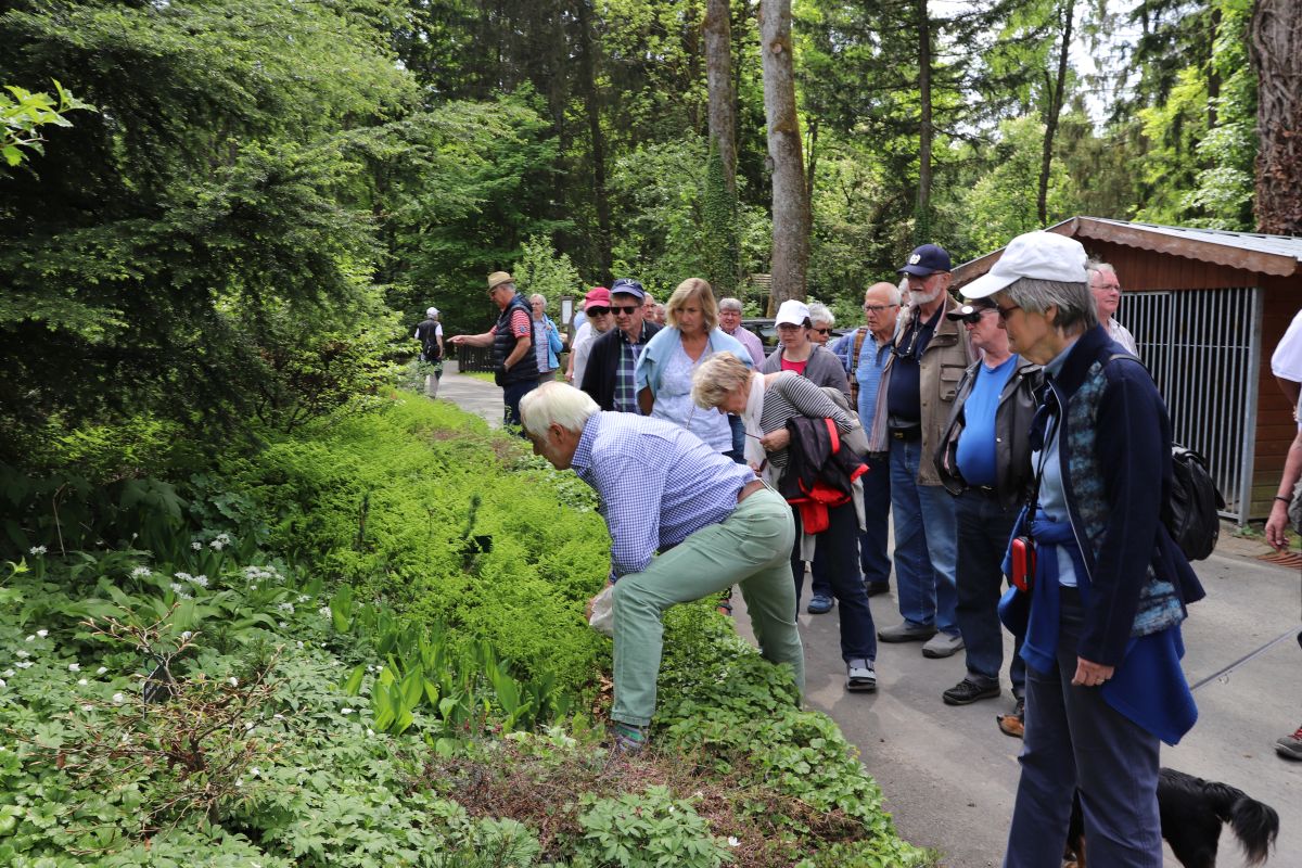 Siegen 2018